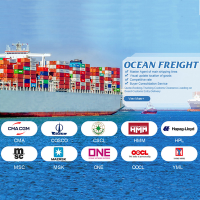 OOG BBK 40ft Container Internazionale Ocean Shipping Cina Giordania Per Cargo Generale