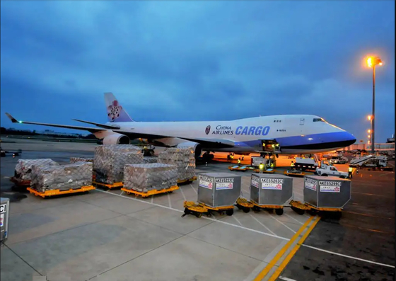 Da Guangzhou International Logistics Services Company Porta a porta Global Logistics