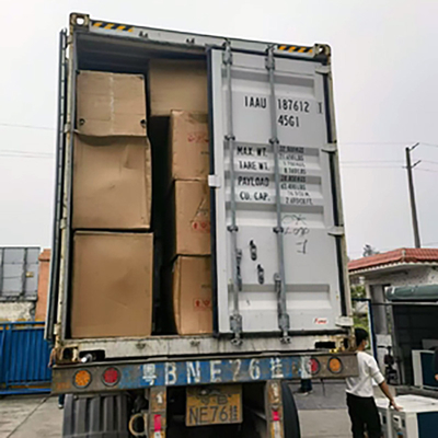 Container Cargo Servizio internazionale di trasporto merci / trasporto merci Cina Italia